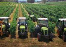 Трактори 4WD (задвиждане на четирите колела) Claas Nectis 267 VL