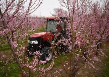 Трактори със задно задвижване Case IH Farmall 100N