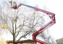 Пълзящи повдигачи с подвижна стрела Hinowa Lightlift 20.10 Performance IIIS MK3
