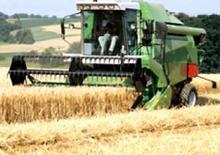Зърнокомбайн DEUTZ-FAHR 5445 H