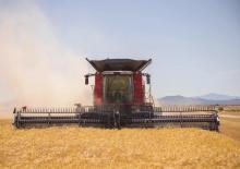 Зърнокомбайн Case IH Axial Flow 6160 