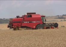Зърнокомбайн Case IH CT 5080