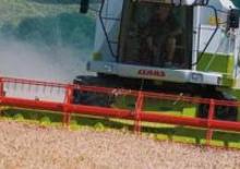 Зърнокомбайн Claas Medion 310