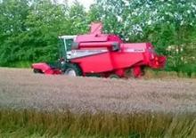 Зърнокомбайн Massey Ferguson MF 2045