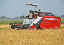 Зърнокомбайн Massey Ferguson MF 2168