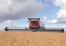 Зърнокомбайн Massey Ferguson MF 9795