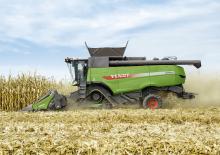 Зърнокомбайни хедър (жатка) за царевица Fendt CornFlow 8Reihen 70cm