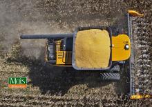 Зърнокомбайни хедър (жатка) за царевица Valtra PM515