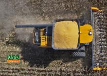Зърнокомбайни хедър (жатка) за царевица Valtra PM517