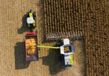 Зърнокомбайни за царевица Claas 12-30