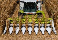 Зърнокомбайни за царевица Claas Corio 575 C
