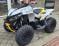 RENEGADE 650 T