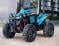 RENEGADE X XC 1000T