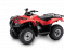 TRX250TM